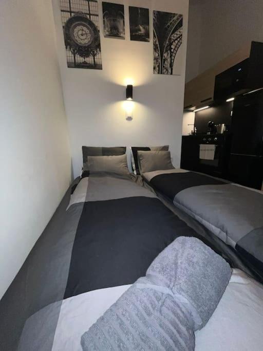 Charming Studio In The City Centre Budapest Extérieur photo